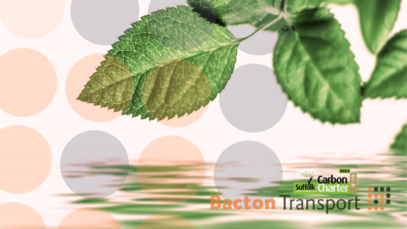 Bacton Logistics Achieves Gold Standard in Suffolk Carbon Charter 2023